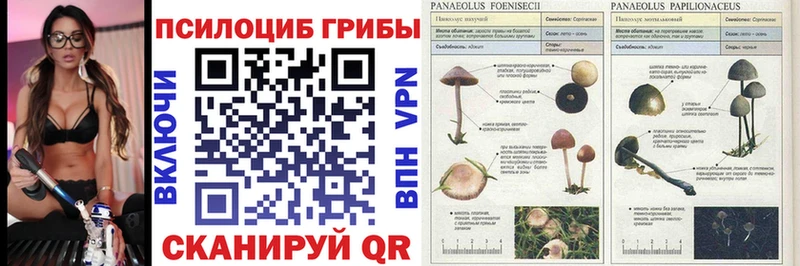 Галлюциногенные грибы GOLDEN TEACHER  кракен маркетплейс  Азов  как найти закладки 