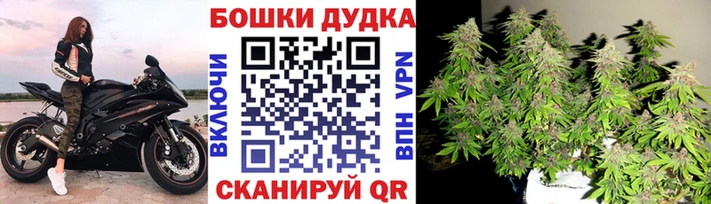 Каннабис план  Азов 